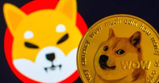 柴犬币和狗狗币区别在哪 介绍柴犬币和狗狗币的主要区别