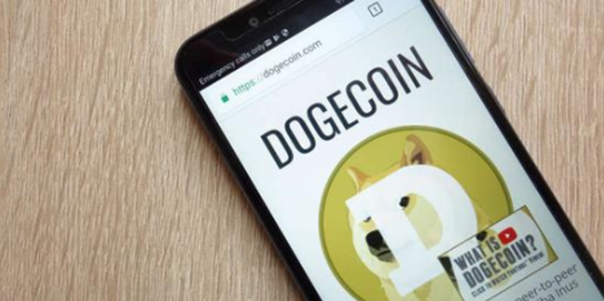 狗狗币app怎么登陆  登陆狗狗币app的实操指南